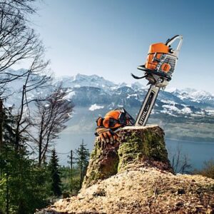 Travaux forestiers
